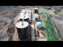 من النفايات إلى الثروة: نجاح مركز المينا في تحويل مياه مزرعة الخنازير في بكين