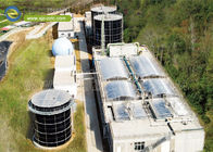 مركز تكنولوجيا الغاز الحيوي المسمارية، الرائدة في استخدام الموارد في مزرعة الخنازير النفايات العضوية