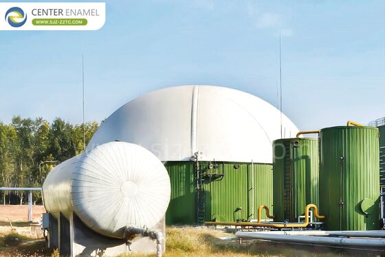 المقاول الرائد لمشروع معالجة مياه الصرف الصحي للحيوانات الأليفة في مصر