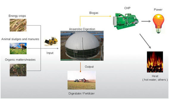 خزان تخزين الغاز الحيوي المتميز EPC المورد مفتاح على عاتق للكهرباء الغاز الحيوي النفايات نظام حزمة كاملة 1